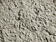 Relief Concret Wall Texture