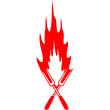 Barbecue Fire