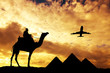 Trip To Egypt