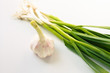 Fresh young garlic