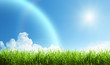 Foto: grass at sunny day grass at sunny day