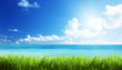 Photo: sea and grass at sunny day sea and grass at sunny day