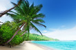Foto: beach in sunset time on Mahe island in Seychelles beach in sunset time on Mahe island in Seychelles