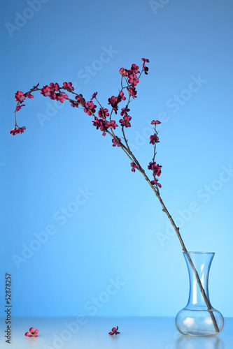 Photo: Red Blossoms Red Blossoms
