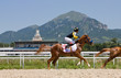 Horse racing at the hippodrome in Pyatigorsk.