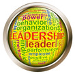 Shiny button - Leadership tags
