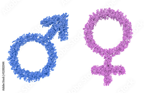 Illustration: Male female gender symbols Male female gender symbols
