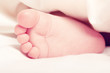 Photo: feet of newborn baby sleeping feet of newborn baby sleeping