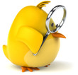 Fun bird