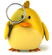 Fun bird