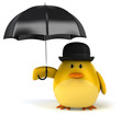 Fun bird