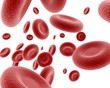Red blood cells