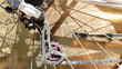 Photo: pinion and chain pinion and chain