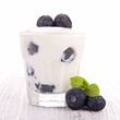 blueberry dessert