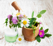 Wild flowers and herbs