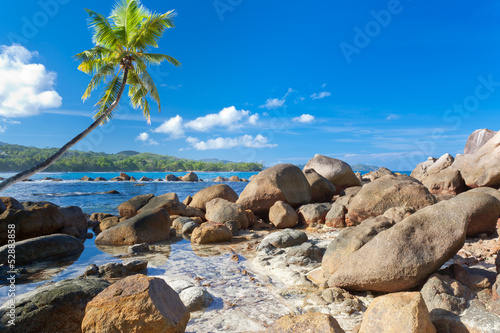 Photo: paysage des Seychelles, lagon, rochers et cocotier paysage des Seychelles, lagon, rochers et cocotier