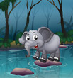 An elephant crossing the river by means of the big stones