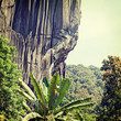 Nature-62