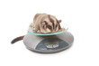 Animal health - Sugar glider on weigh scales
