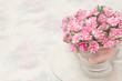 bouquet of pink roses in the coffee cup
