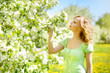 Blossoming apple tree
