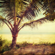 beach-36