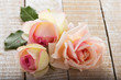 Fresh roses on wooden background