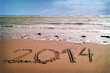 2014 New Year