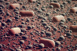 Bacterias.