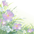 Morning Flowers