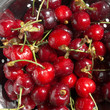 Cerezas