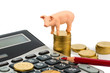 Schwein und Taschenrechner