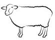 Sheep silhouette isolated on white