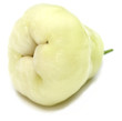 rose apple