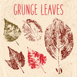 Grunge leaves