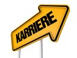 karriere 3d
