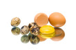 eggs on a white background with reflection close-up