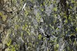 Rock Texture