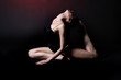 The sensual dancer