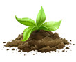 Vektor: plant with green leaves growing from the ground isolated plant with green leaves growing from the ground isolated