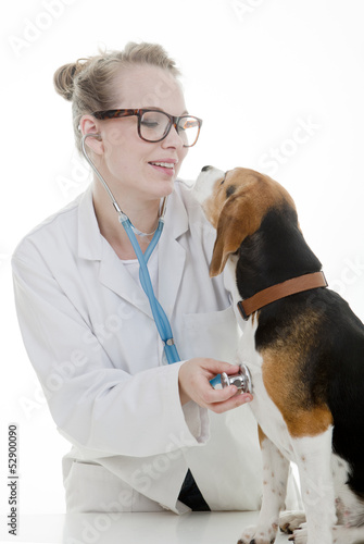 Photo: vet with dog vet with dog