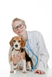 Photo: vets surgery with pet dog vets surgery with pet dog