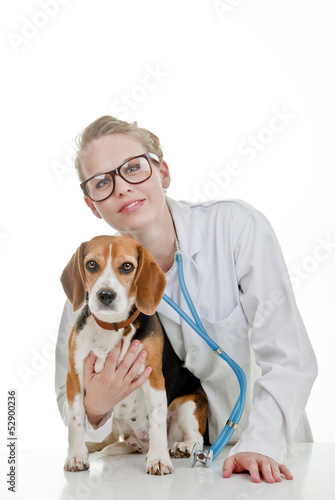 Photo: vets surgery with pet dog vets surgery with pet dog
