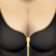 zipper - voluptuous