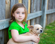 Photo: Blond happy girl with her chihuahua doggy portrait Blond happy girl with her chihuahua doggy portrait