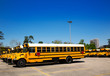 Foto: American typical school buses row in a parking lot American typical school buses row in a parking lot