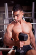 Bodybuilder training