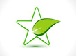 Abstract Eco Star Icon