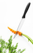 Carrot
