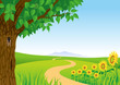 Summer Landscape, Sunflower and Cicada